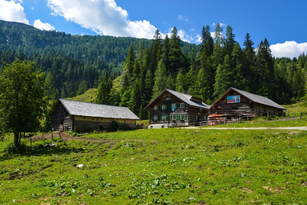 Schmiedlehenalm Apartment Obertauern Bagian luar foto